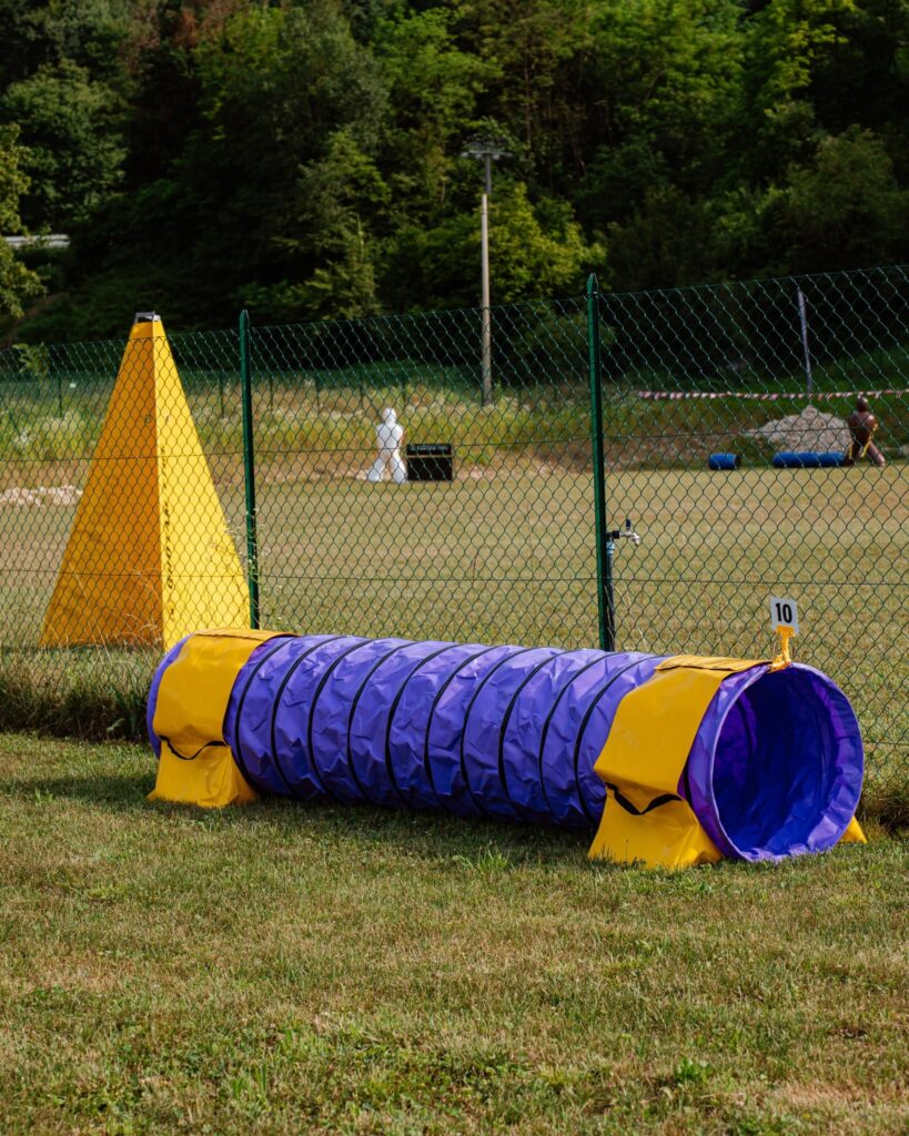 Tunnel blu e giallo su prato accanto ai ring recintati del MJRS CAMP