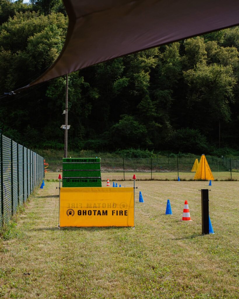 Ostacoli e coni per esercizi cinofili nel ring recintato del MJRS CAMP