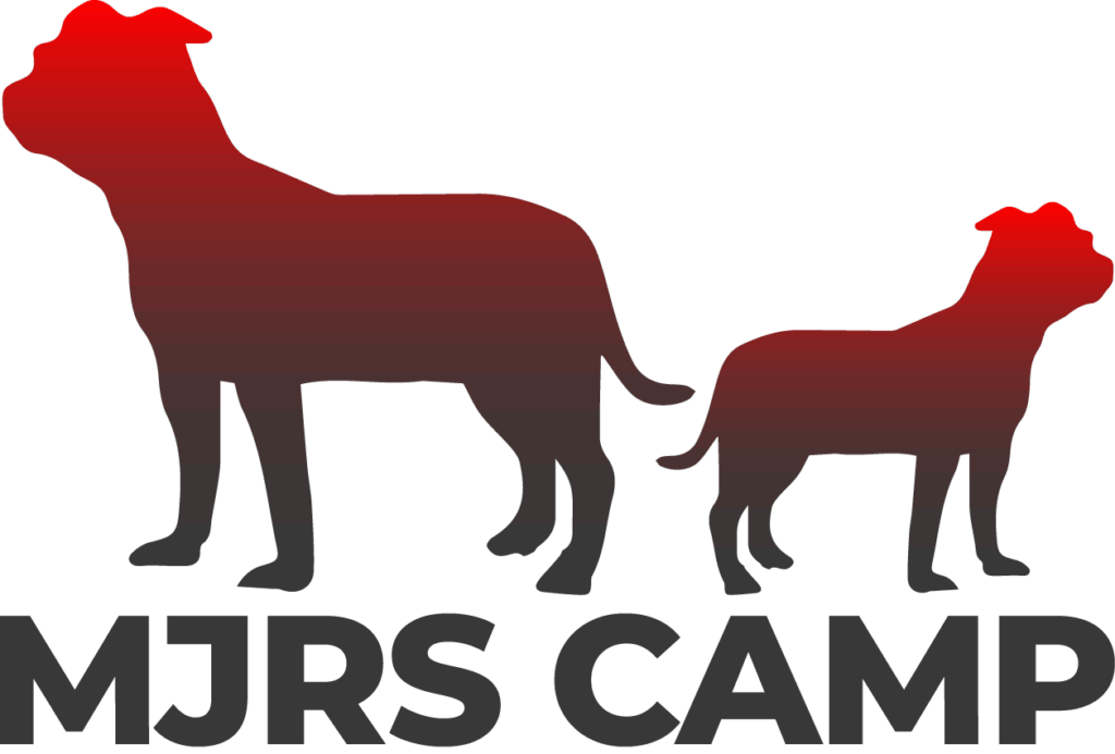 MJRS CAMP — logo ufficiale con Ryko e Johna