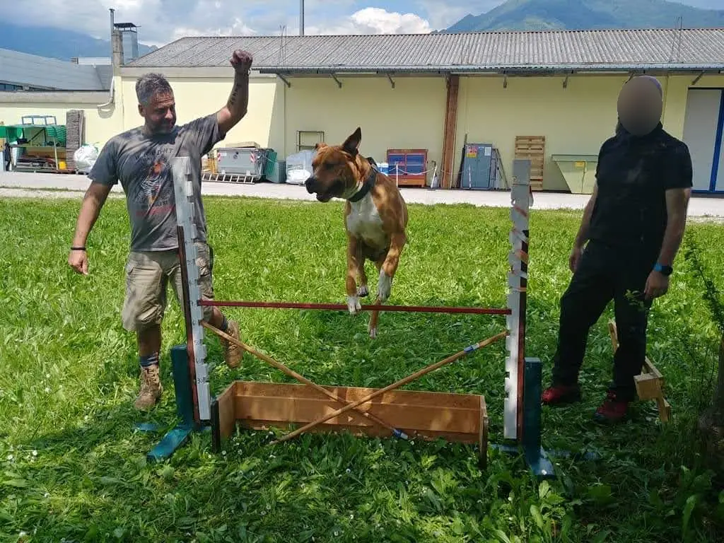Marco Marchesin con il cane durante un esercizio di salto
